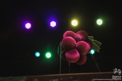 Aesop-Dress-Rehearsal-158-of-186